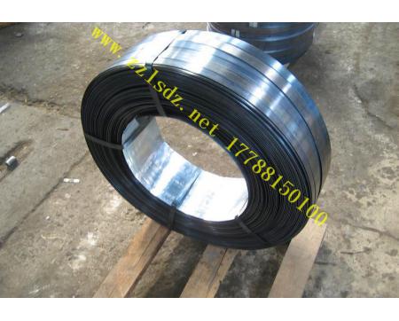 往復(fù)式鋼帶烤藍生產(chǎn)線